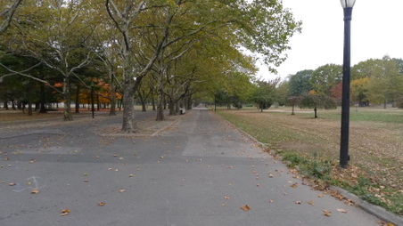 Enlarge photo 13