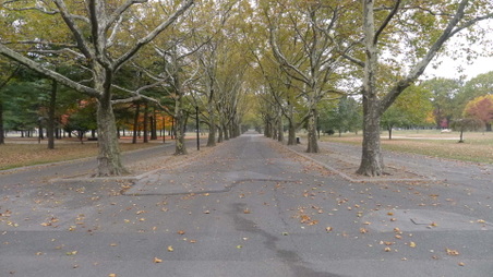 Enlarge photo 16