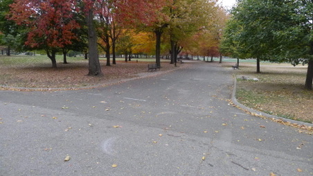 Enlarge photo 7