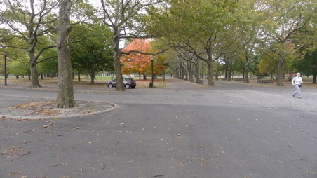 Enlarge photo 10