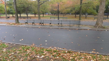 Enlarge photo 18