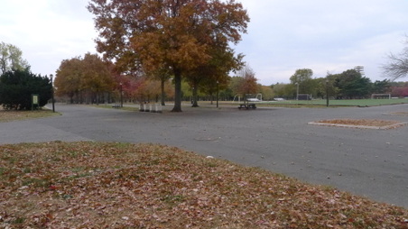 Enlarge photo 8
