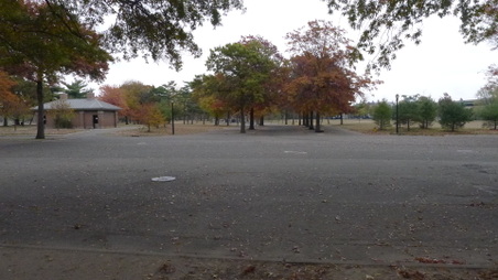 Enlarge photo 3