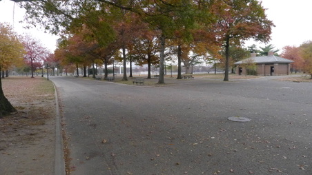 Enlarge photo 6