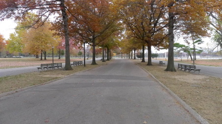 Enlarge photo 10
