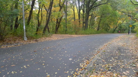 Enlarge photo 3