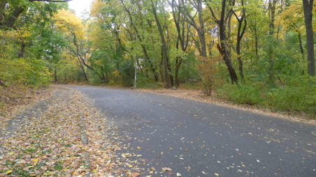 Enlarge photo 7