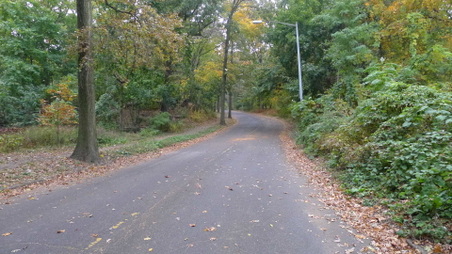 Enlarge photo 13