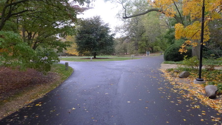 Enlarge photo 2