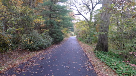 Enlarge photo 5