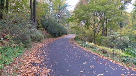 Enlarge photo 6
