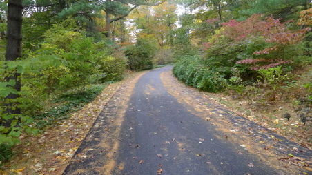 Enlarge photo 8