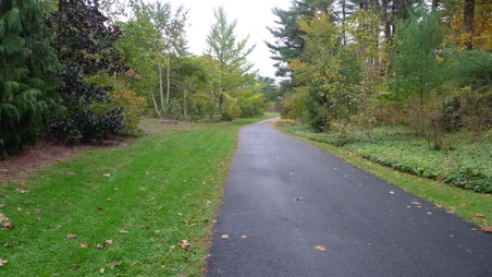 Enlarge photo 9