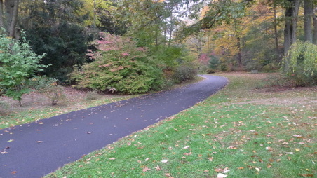 Enlarge photo 10