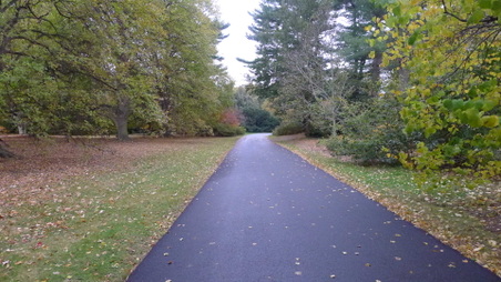 Enlarge photo 11