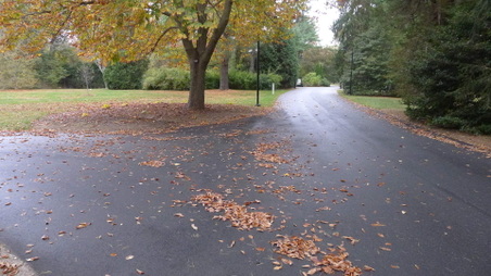 Enlarge photo 7