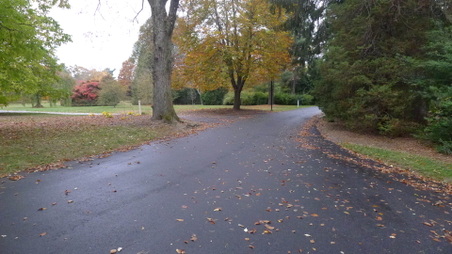 Enlarge photo 13