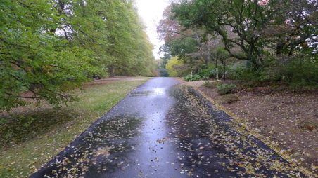 Enlarge photo 5