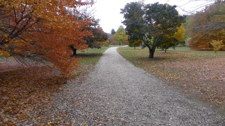 Enlarge photo 10