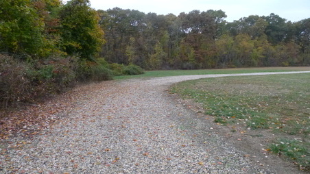 Enlarge photo 14