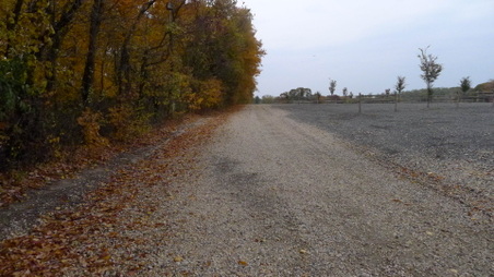Enlarge photo 22