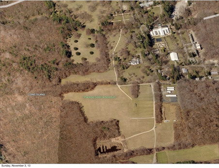 Planting Fields Arboretum