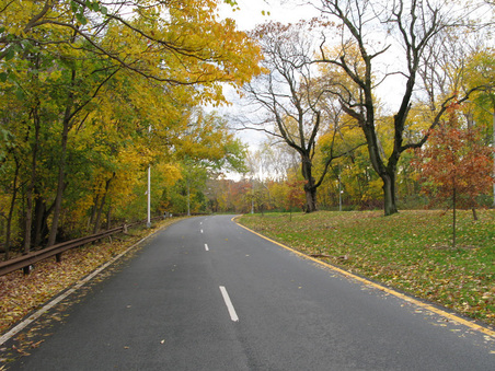 Enlarge photo 32