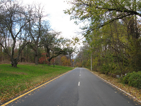 Enlarge photo 31
