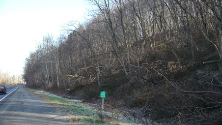 Enlarge photo 31