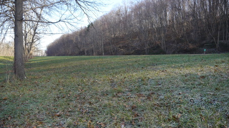 Enlarge photo 33