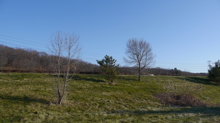 Enlarge photo 8