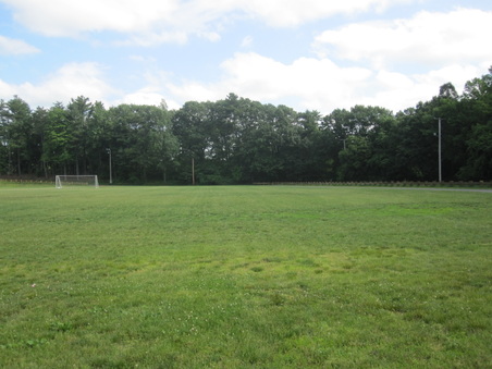 Enlarge photo 53