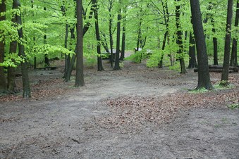 Enlarge photo 24