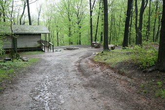 Enlarge photo 43