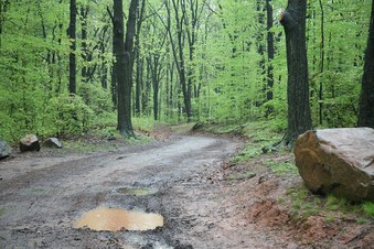 Enlarge photo 44
