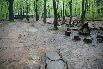 Enlarge photo 61