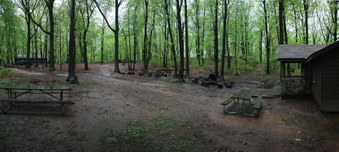 Enlarge photo 65