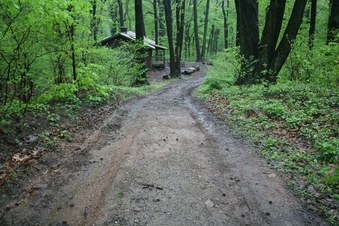 Enlarge photo 78