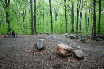 Enlarge photo 79