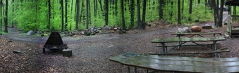 Enlarge photo 81