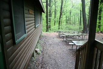 Enlarge photo 82