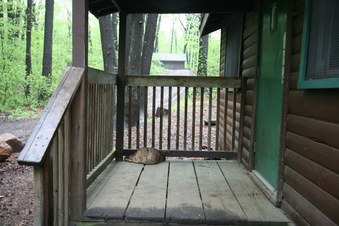 Enlarge photo 83