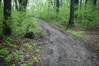 Enlarge photo 89
