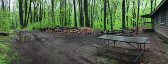 Enlarge photo 93