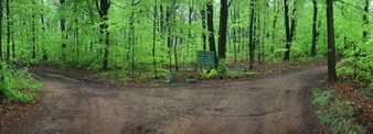 Enlarge photo 102