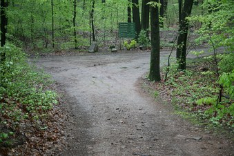 Enlarge photo 105