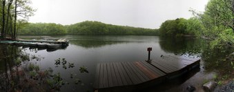 Enlarge photo 126