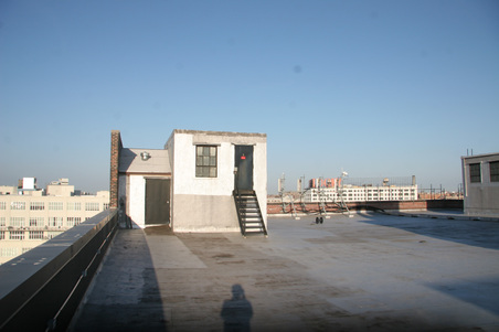 Enlarge photo 81