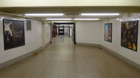 Enlarge photo 41