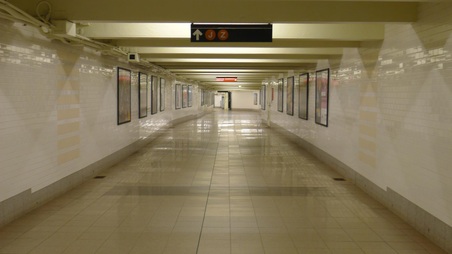 Enlarge photo 47